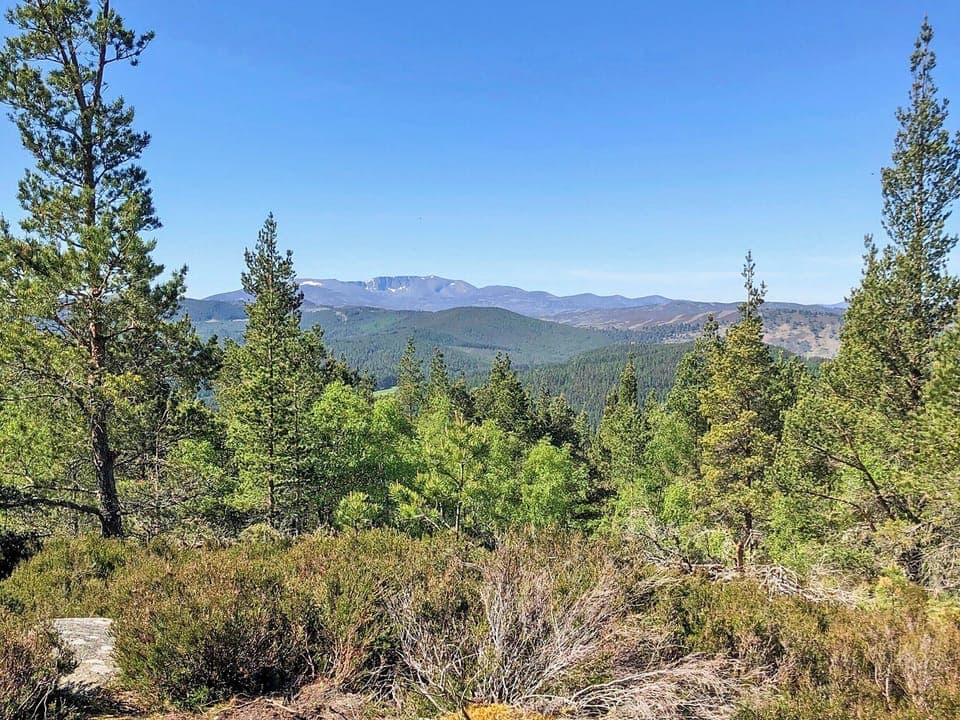 View from the top of Craigendarroch Hill | Craigclunie, Ballater