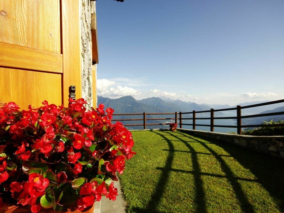 Flower, Sky, Plant, Property, Building, Fence, Architecture, Sunlight, Flowerpot, Grass