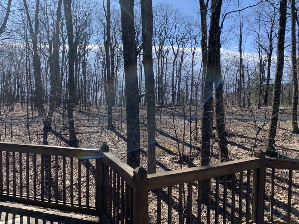 Trail yards from the Blue Ridge Parkway and Appalachian trail