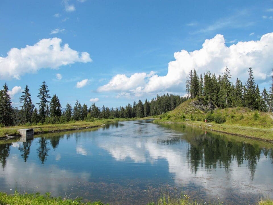 Cloud, Water, Sky, Plant, Ecoregion, Tree, Natural Landscape, Larch, Lake