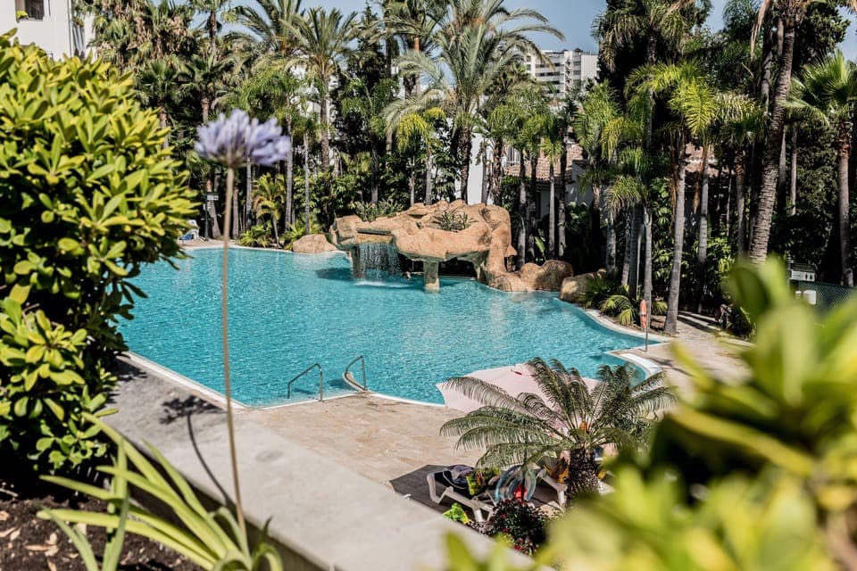 Outdoor pool, pool umbrellas, sun loungers