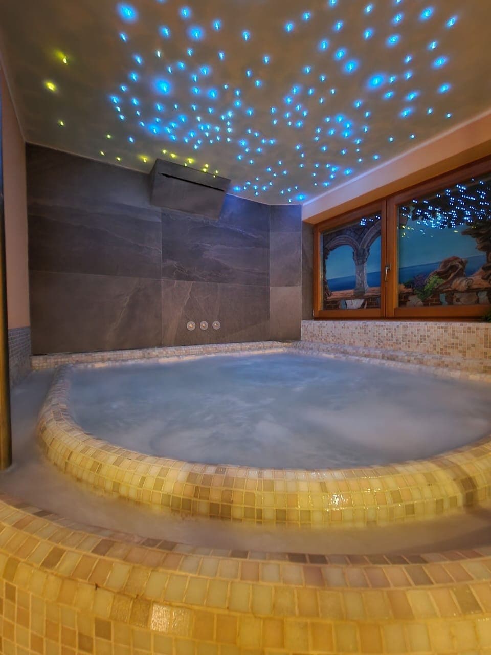 Sauna, hot tub, steam room