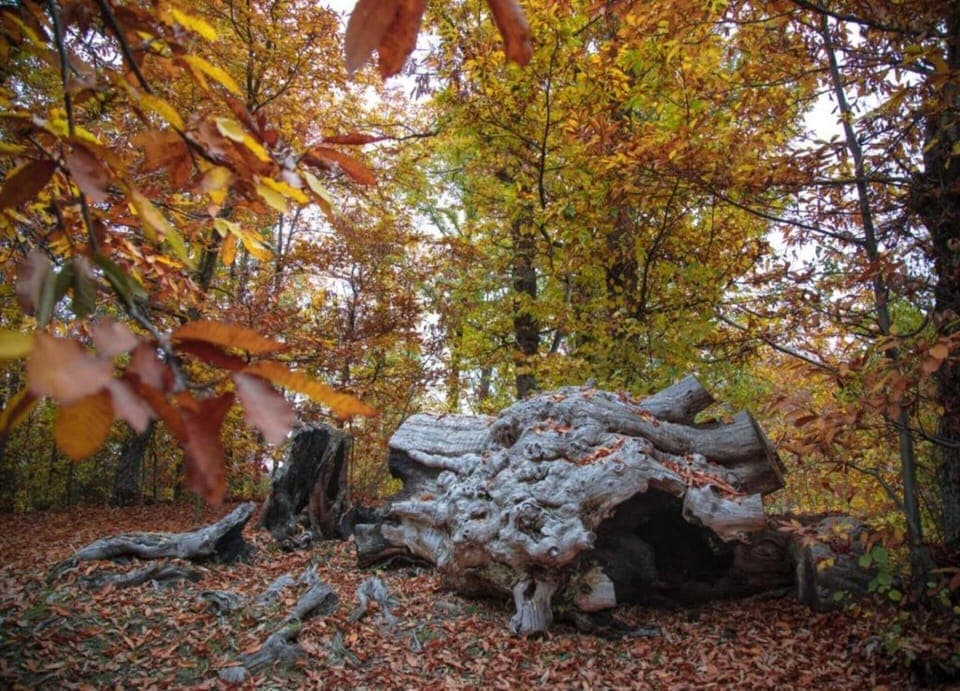 Villa | View from property