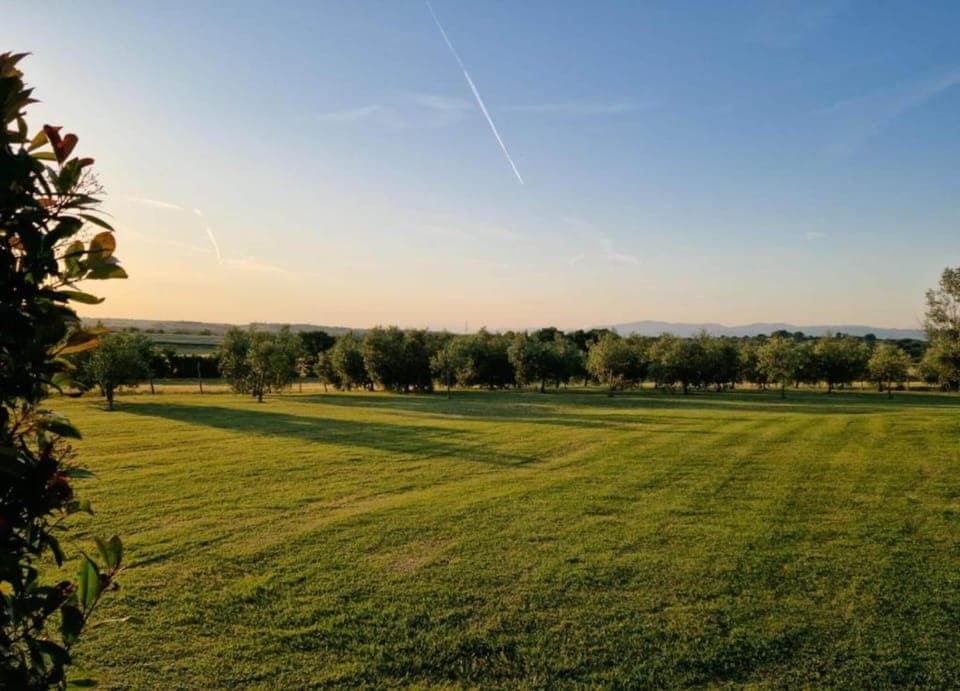 Apartment | View from property