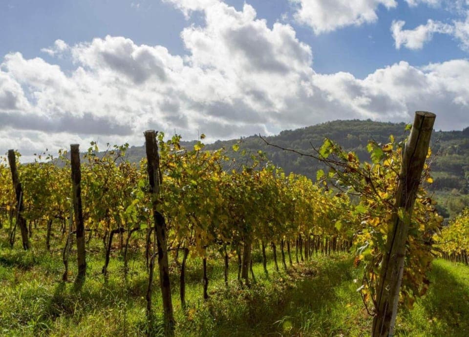 House | View from property