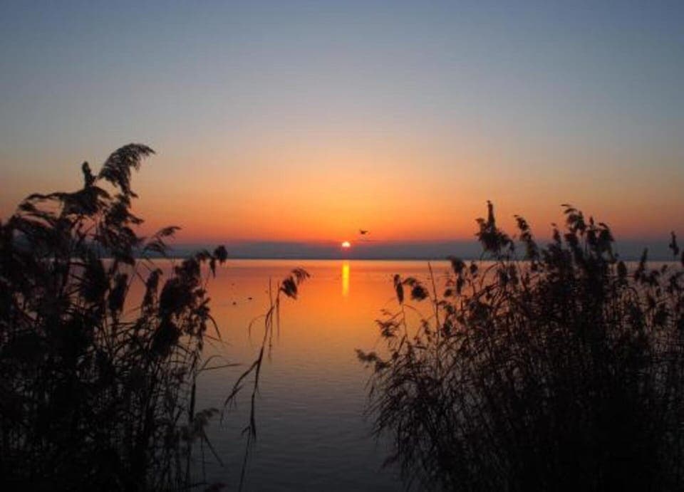 Cottage | View from property