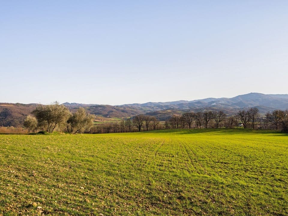 House | View from property