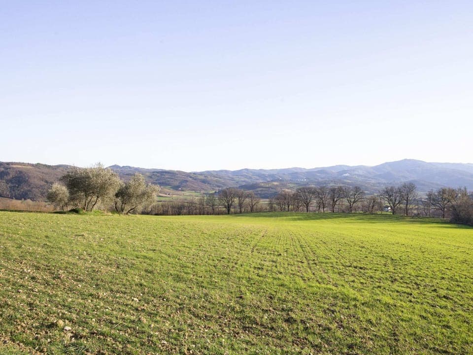 House | View from property