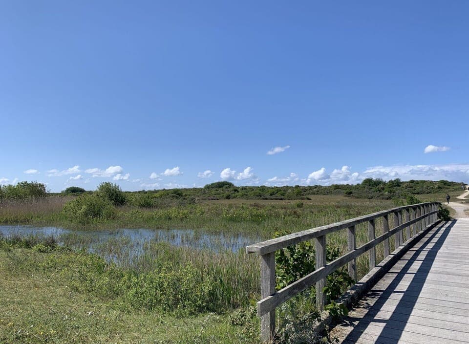 House | View from property