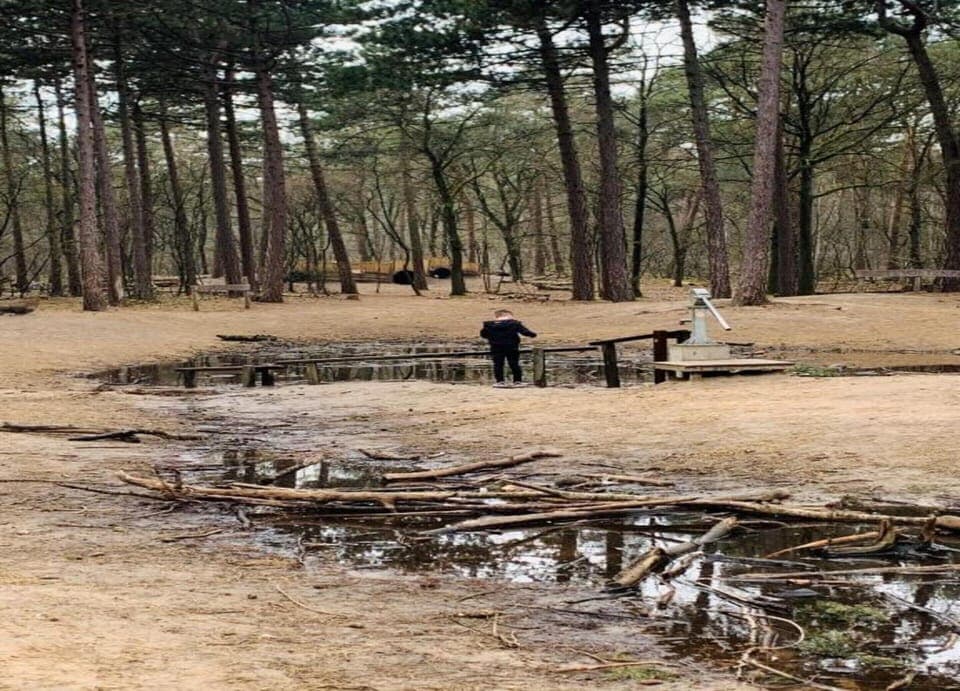 Bungalow | View from property