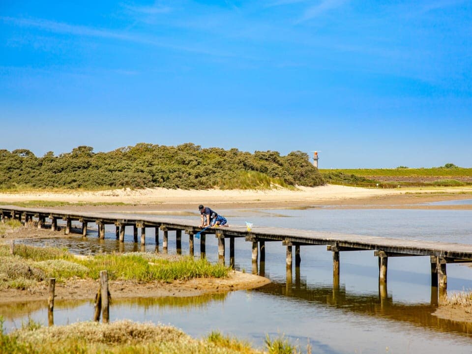 House | View from property