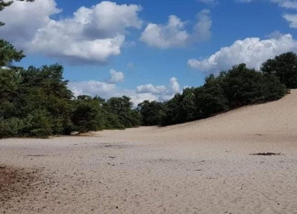 Tent | View from property