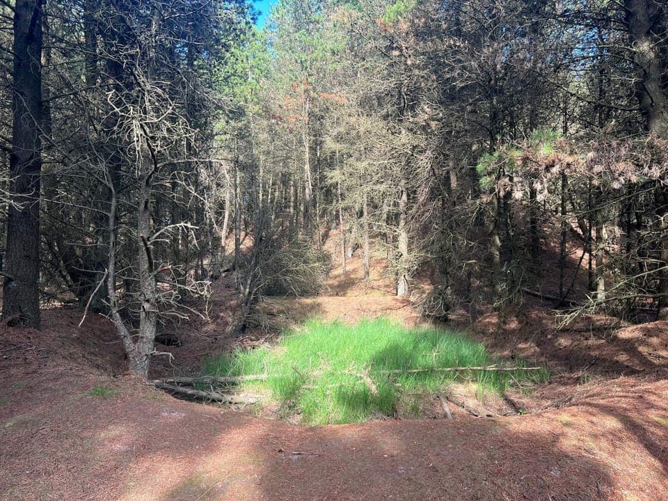 House | Miscellaneous