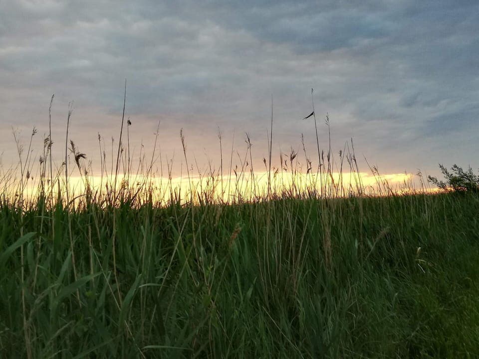 House | Miscellaneous