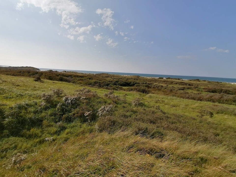 House | Miscellaneous