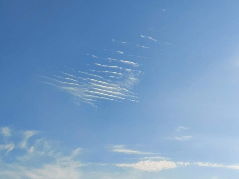 House | Miscellaneous