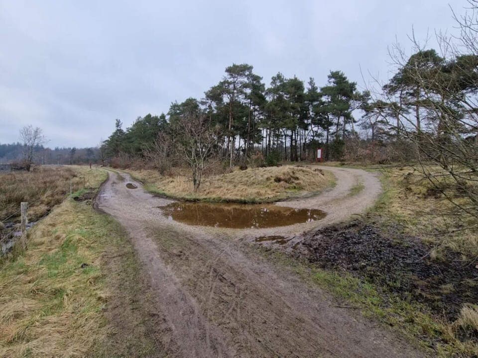 House | Miscellaneous