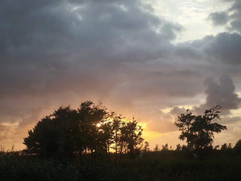 House | Miscellaneous