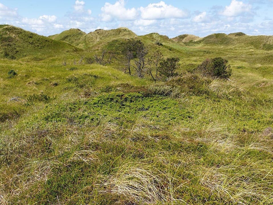 House | Miscellaneous