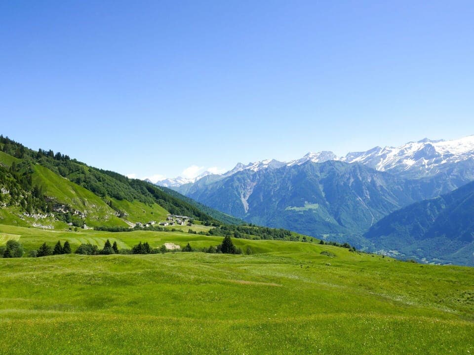 Table, Plant, Tableware, Furniture, Sky, Property, Chair, Outdoor Furniture, Outdoor Table, Interior Design