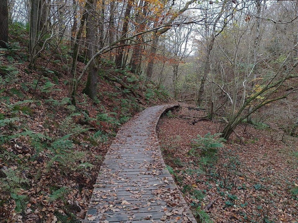 House | Miscellaneous