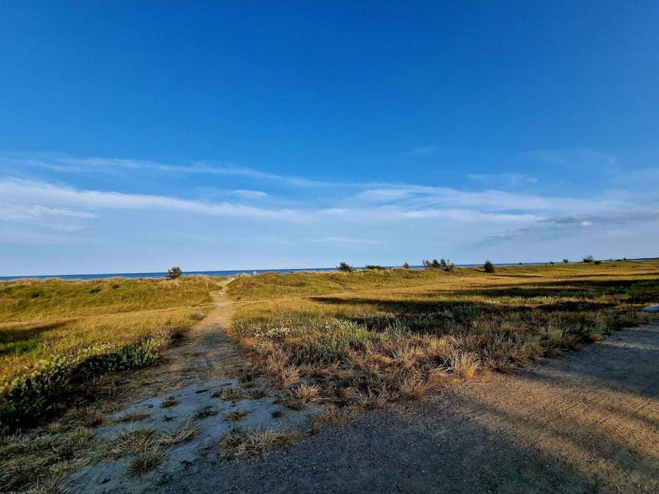 House | Miscellaneous