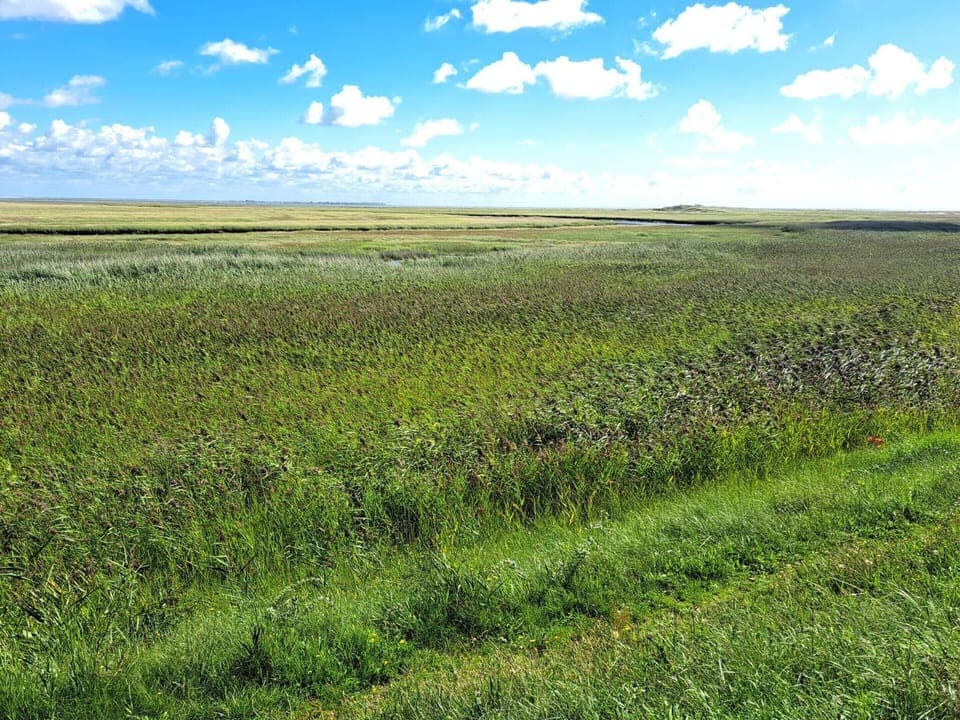 House | Miscellaneous