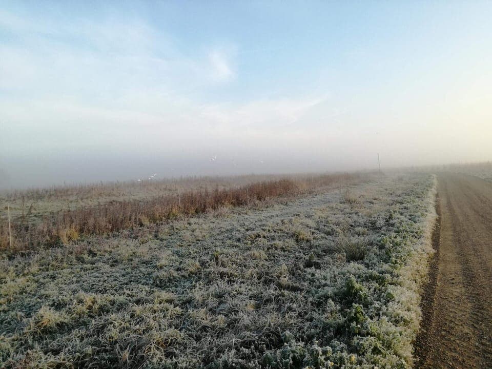 House | Miscellaneous