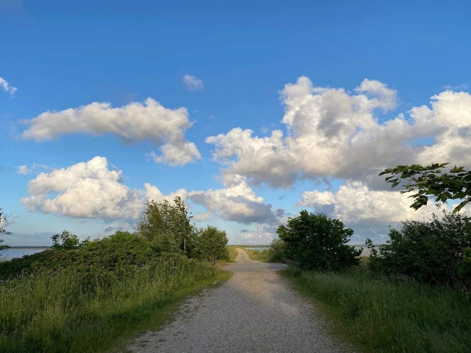 House | Miscellaneous