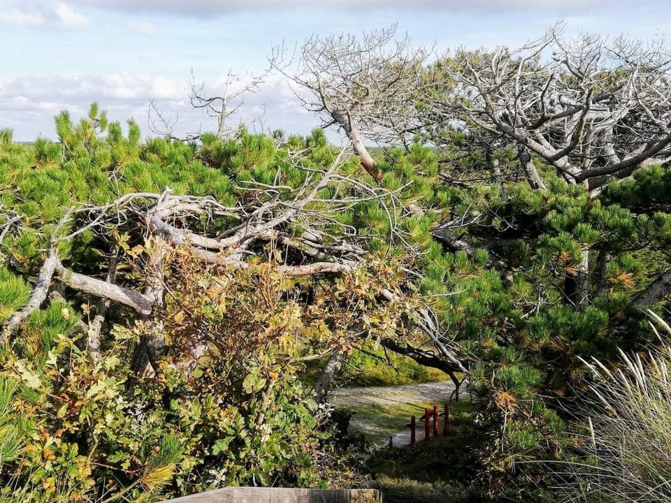 House | Miscellaneous