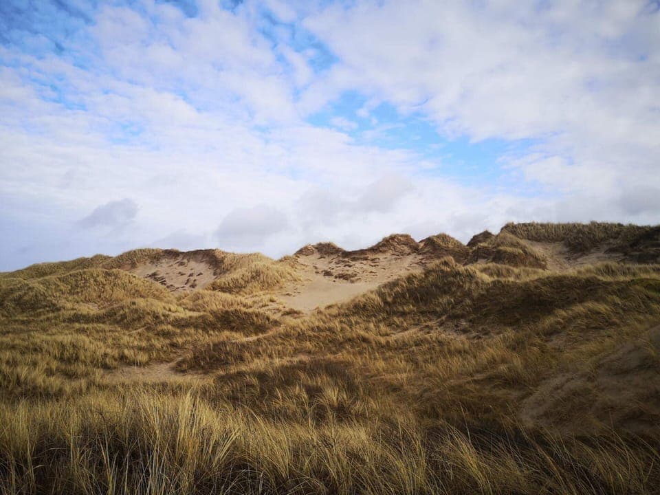 House | Miscellaneous