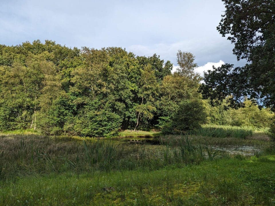 House | Miscellaneous