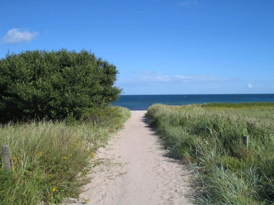 House | Beach | Fishing