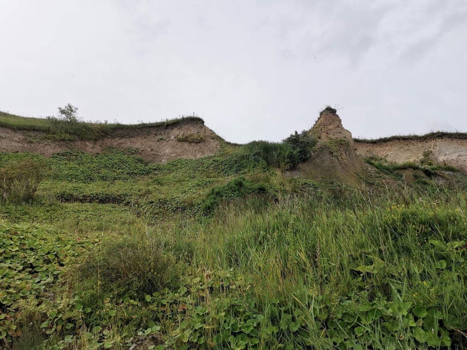 House | Miscellaneous