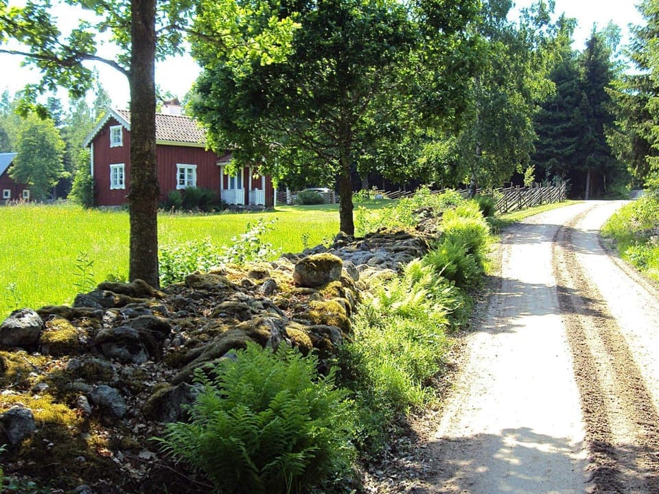 House | Property grounds