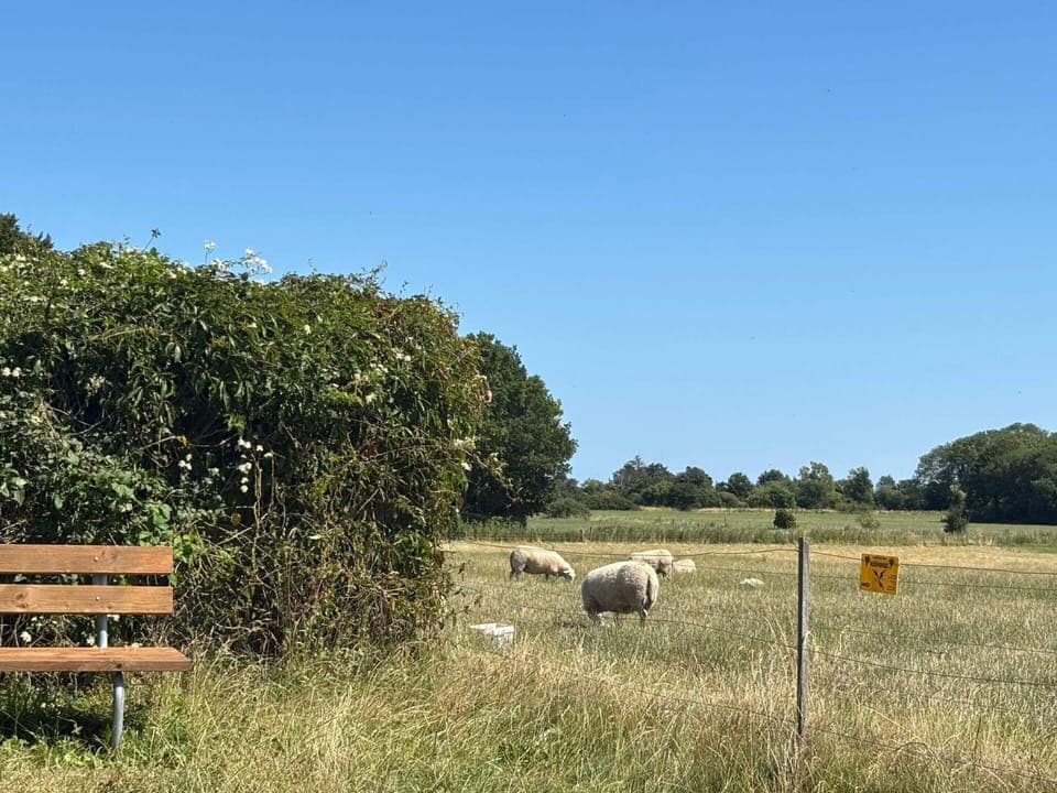 House | Miscellaneous