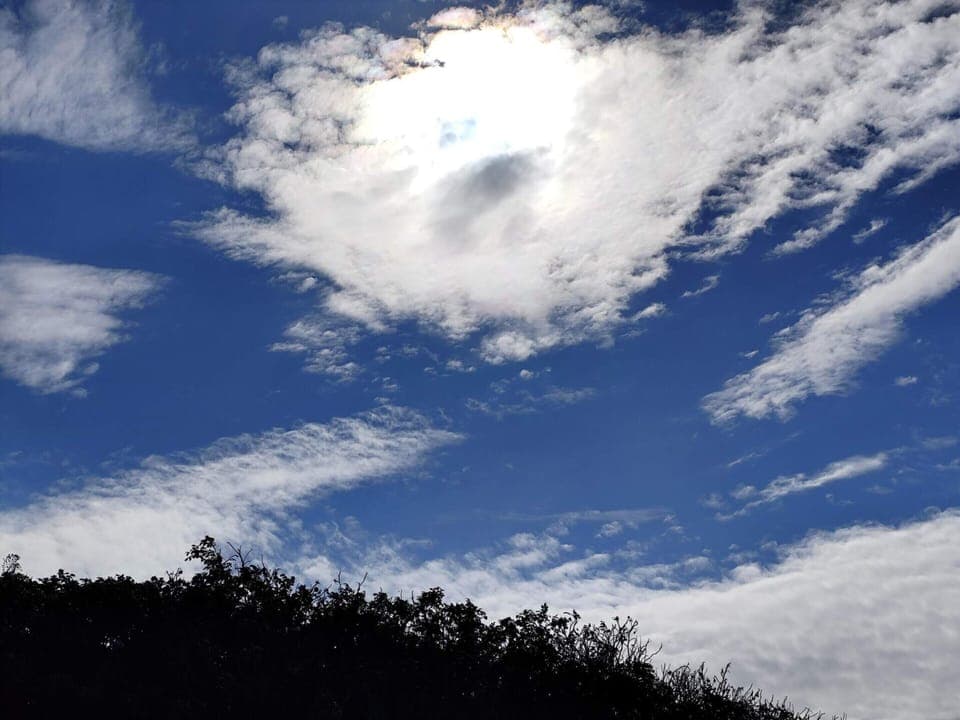 House | Miscellaneous