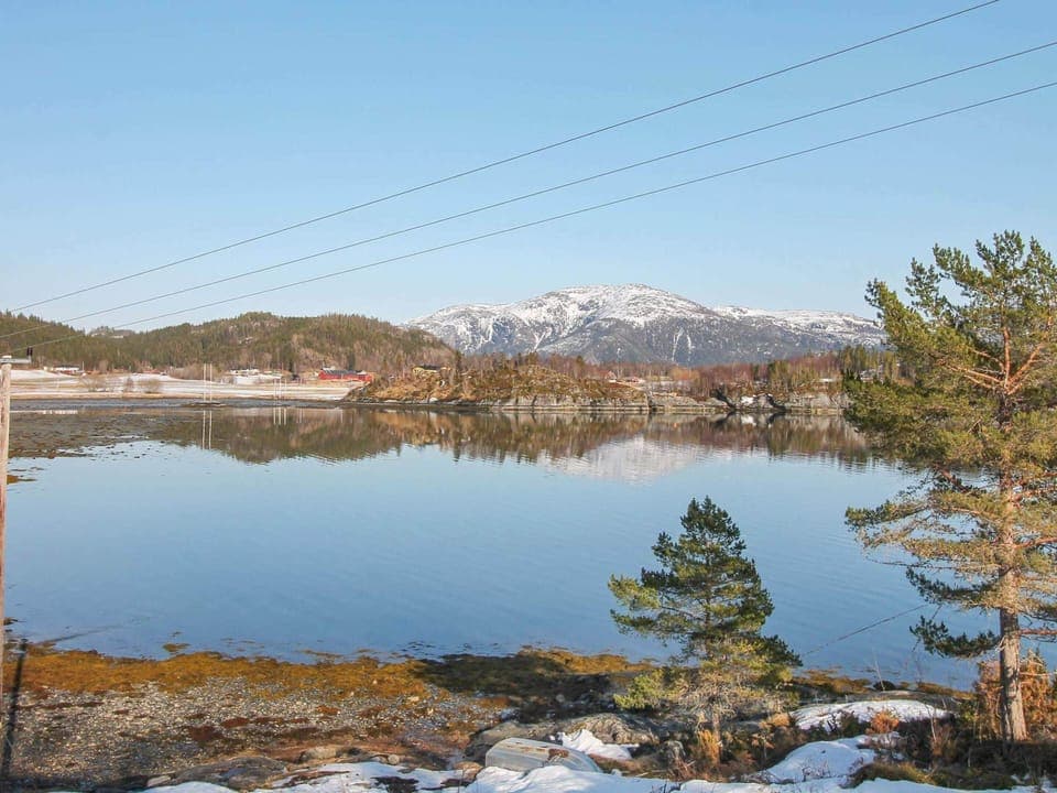 House | Miscellaneous