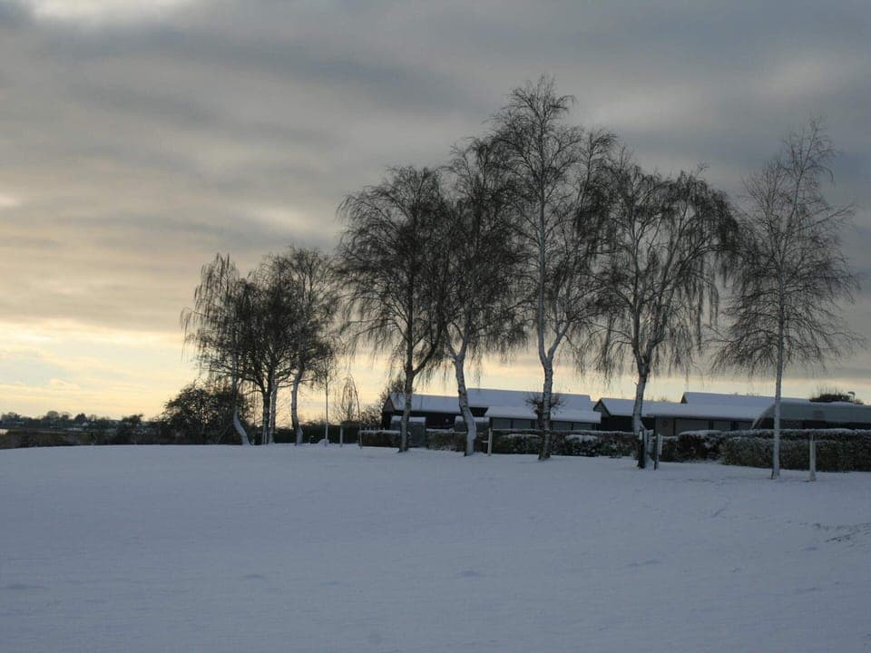 House | Miscellaneous