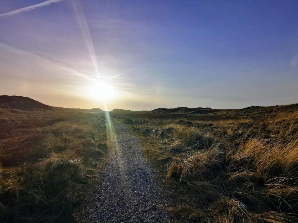 House | Miscellaneous