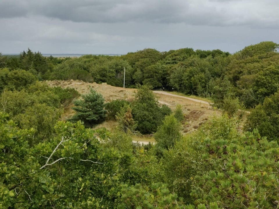 House | Miscellaneous