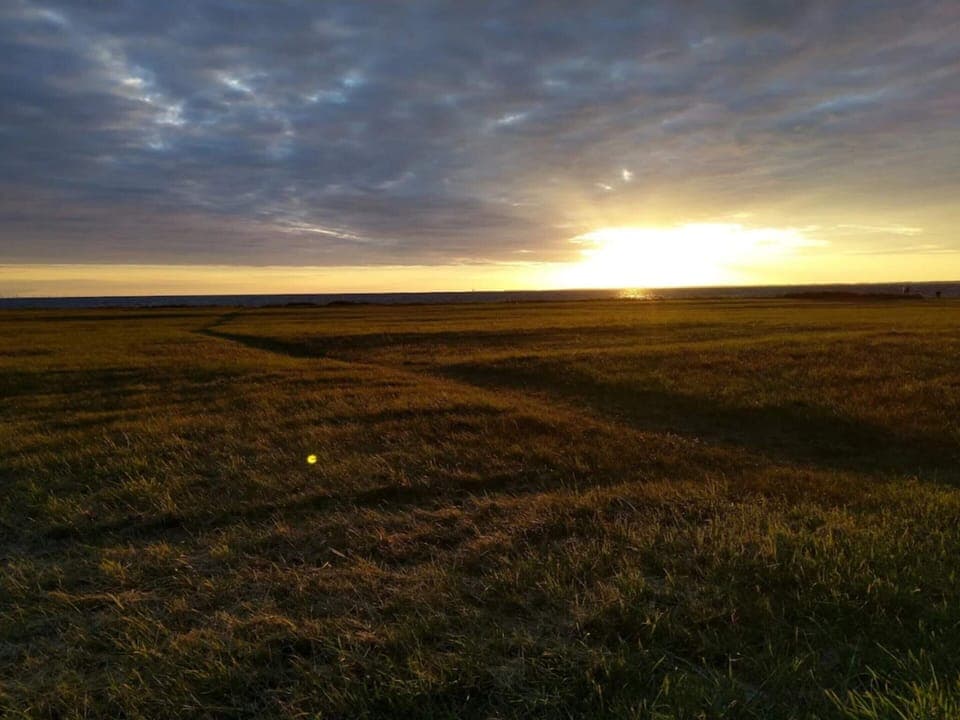 House | Miscellaneous