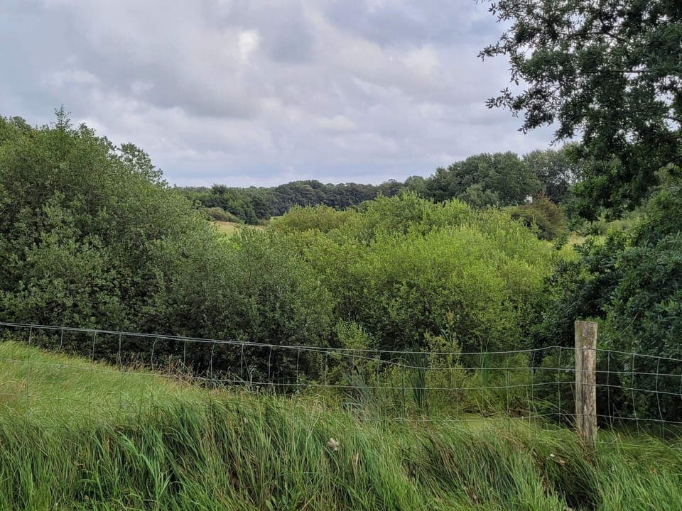 House | Miscellaneous