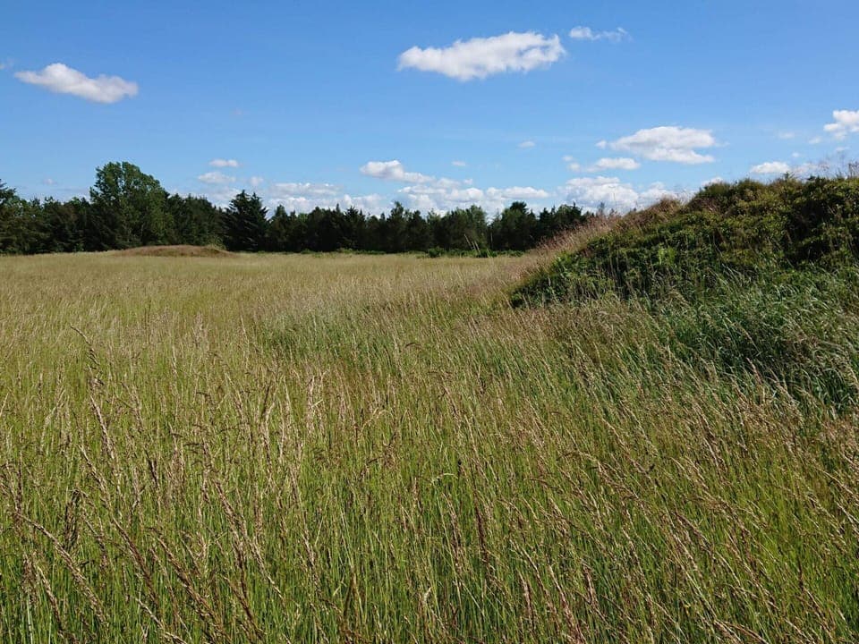 House | Miscellaneous