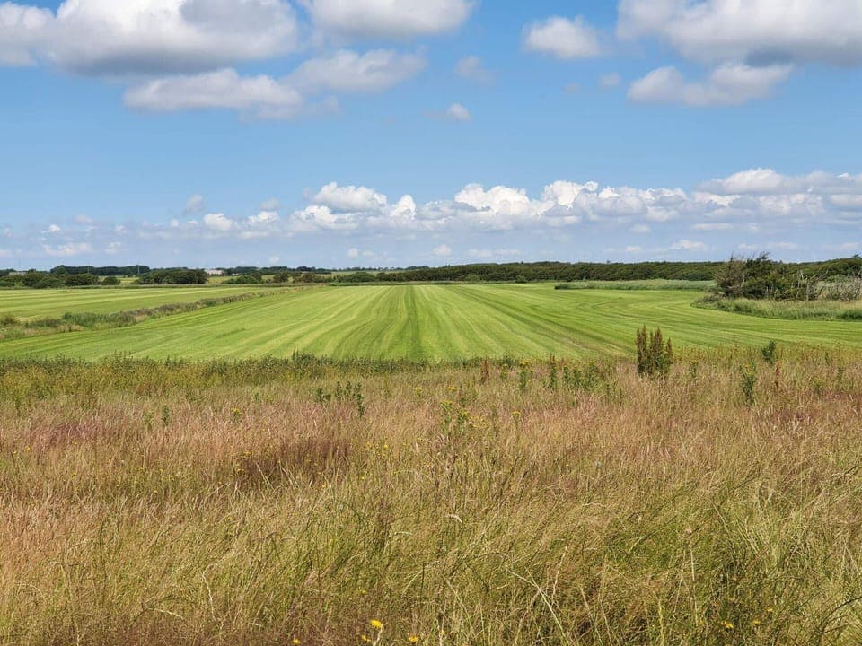 House | Miscellaneous