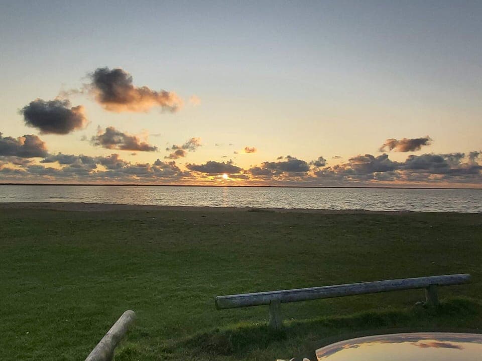 House | Miscellaneous