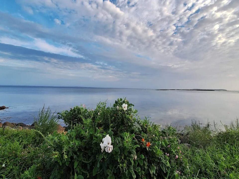Apartment | Water view