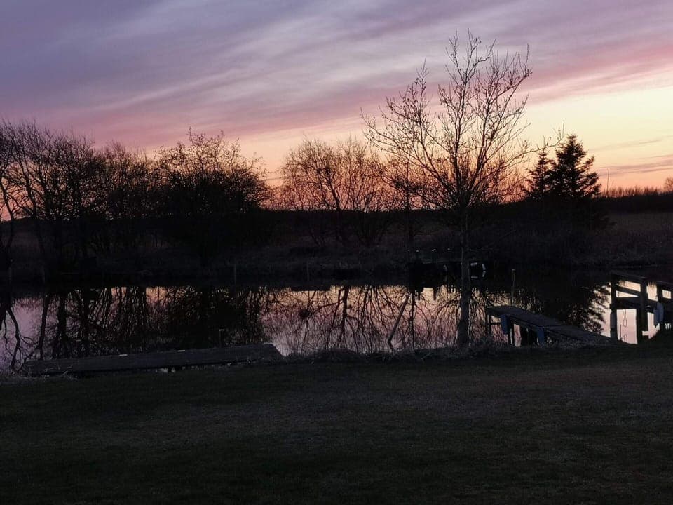 House | Miscellaneous