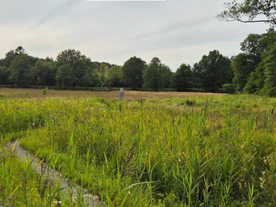 House | Miscellaneous