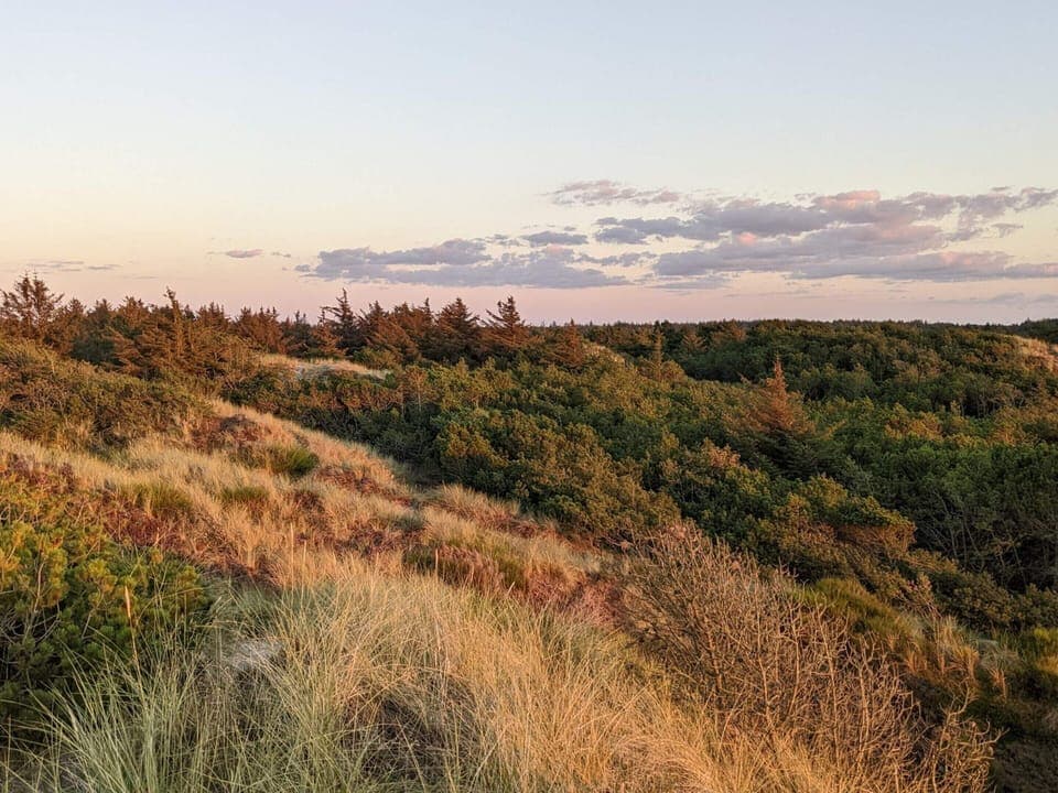 House | Miscellaneous